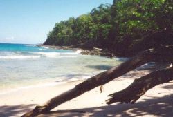 a bay on the andaman islands